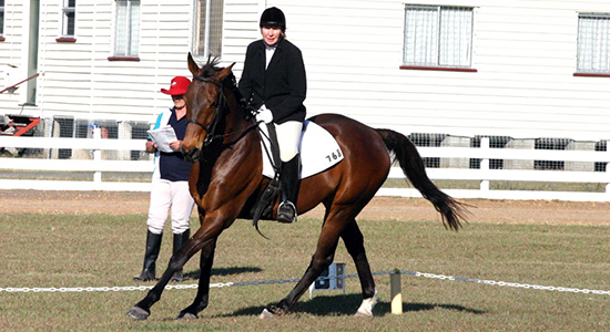 Joan Campbell - Dressage